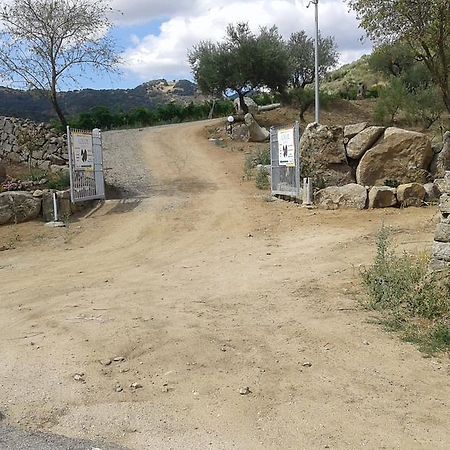 Agriturismo Locoe أوليينا المظهر الخارجي الصورة