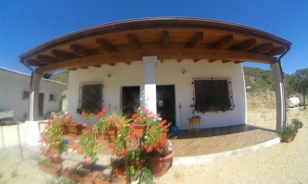 Agriturismo Locoe أوليينا المظهر الخارجي الصورة
