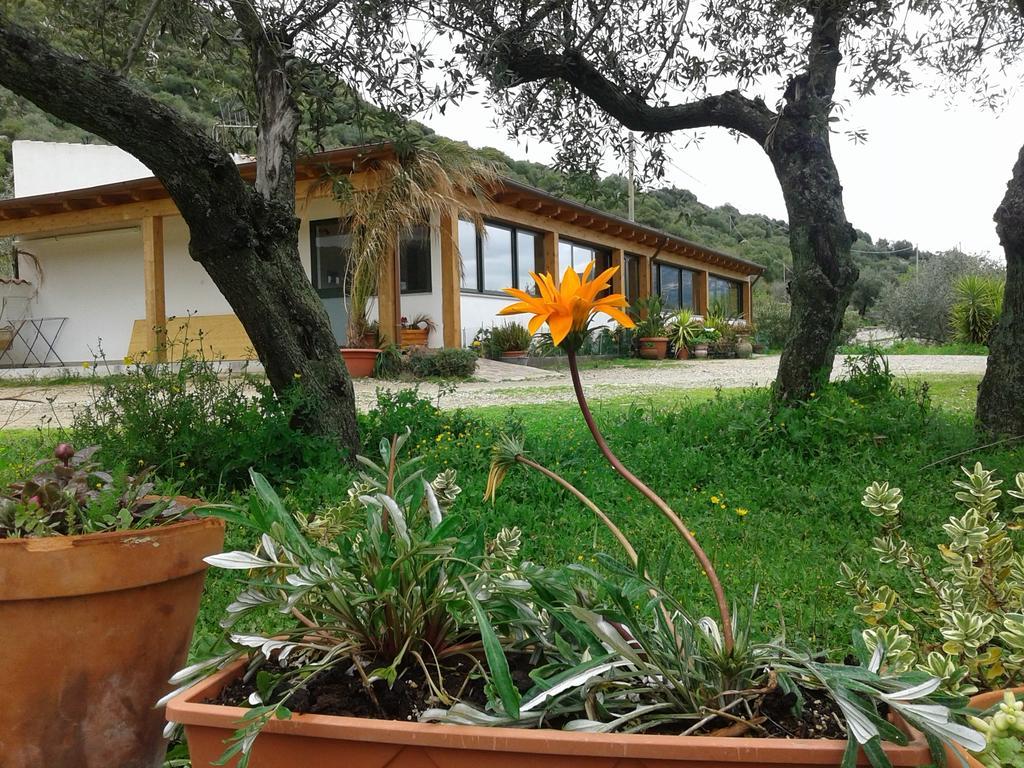 Agriturismo Locoe أوليينا المظهر الخارجي الصورة