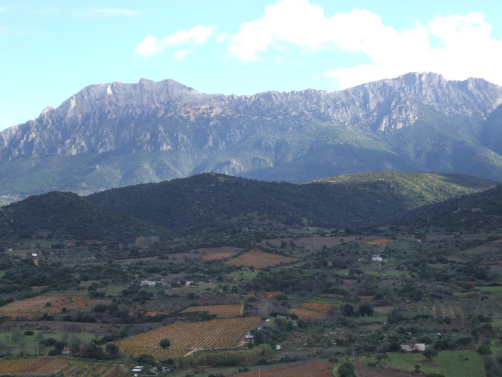 Agriturismo Locoe أوليينا المظهر الخارجي الصورة